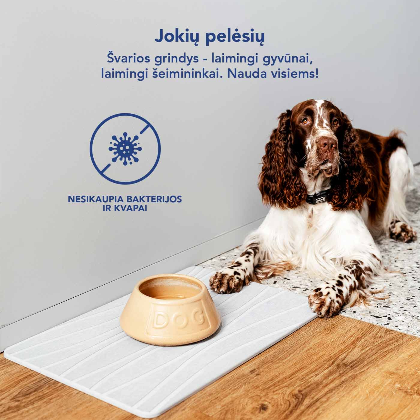 Diatomitinės žemės kilimėlis